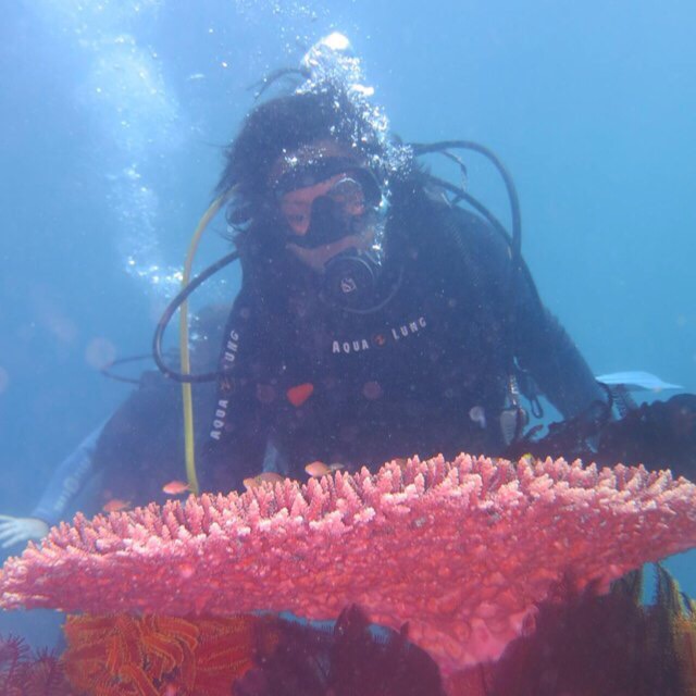 Turknoy Diving