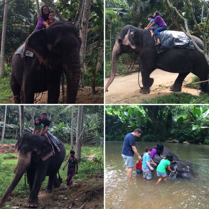 Turknoys Exploring Sri Lanka